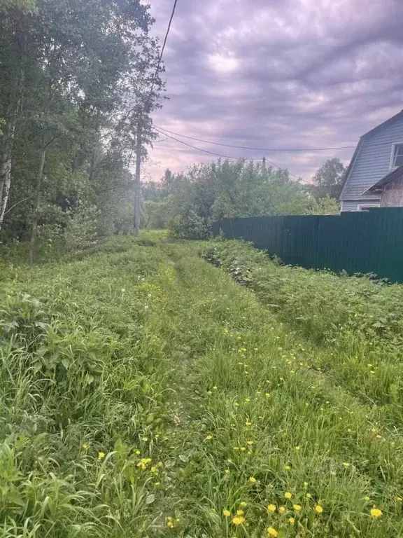 Участок в Московская область, Егорьевск муниципальный округ, д. Михали ... - Фото 2