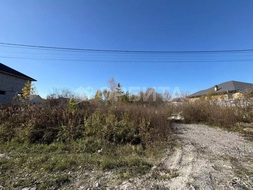 Участок в Тюменская область, Тюменский муниципальный округ, Винзили рп ... - Фото 1