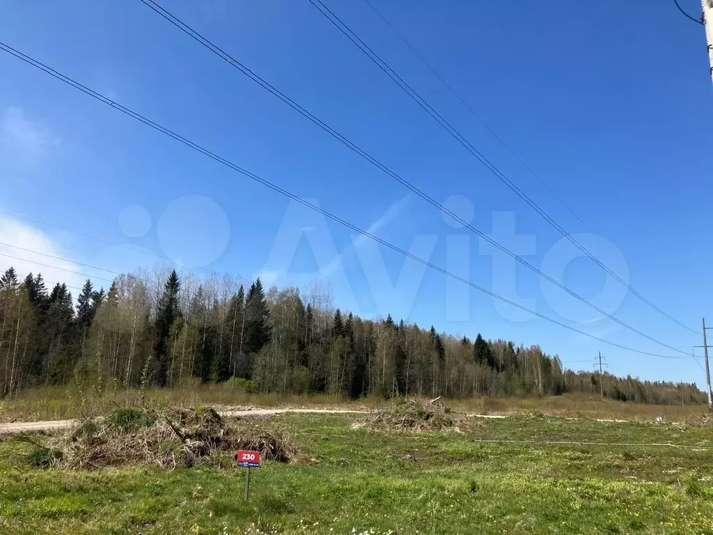 Участок 8,3 сот. (СНТ, ДНП) - Фото 1