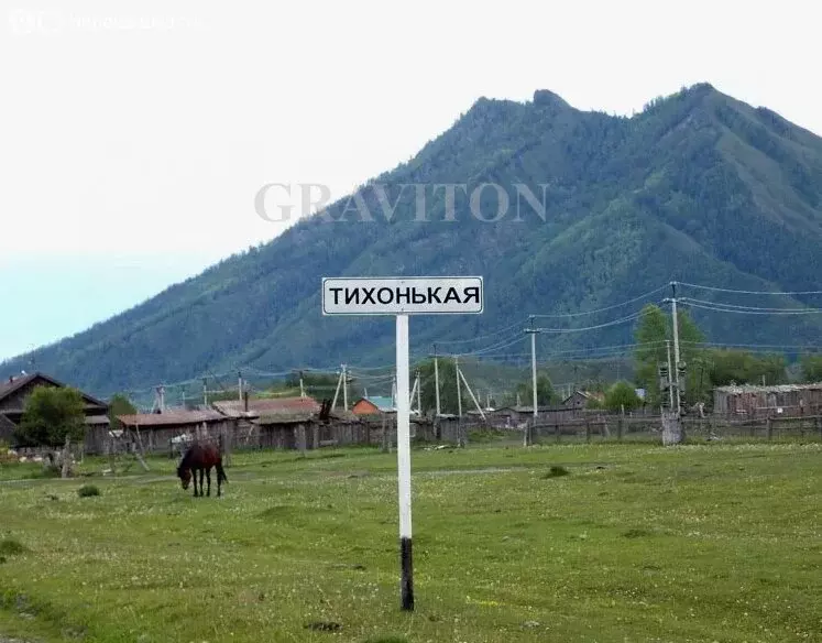 Участок в Усть-Коксинский район, село Тихонькая (16.8 м) - Фото 0