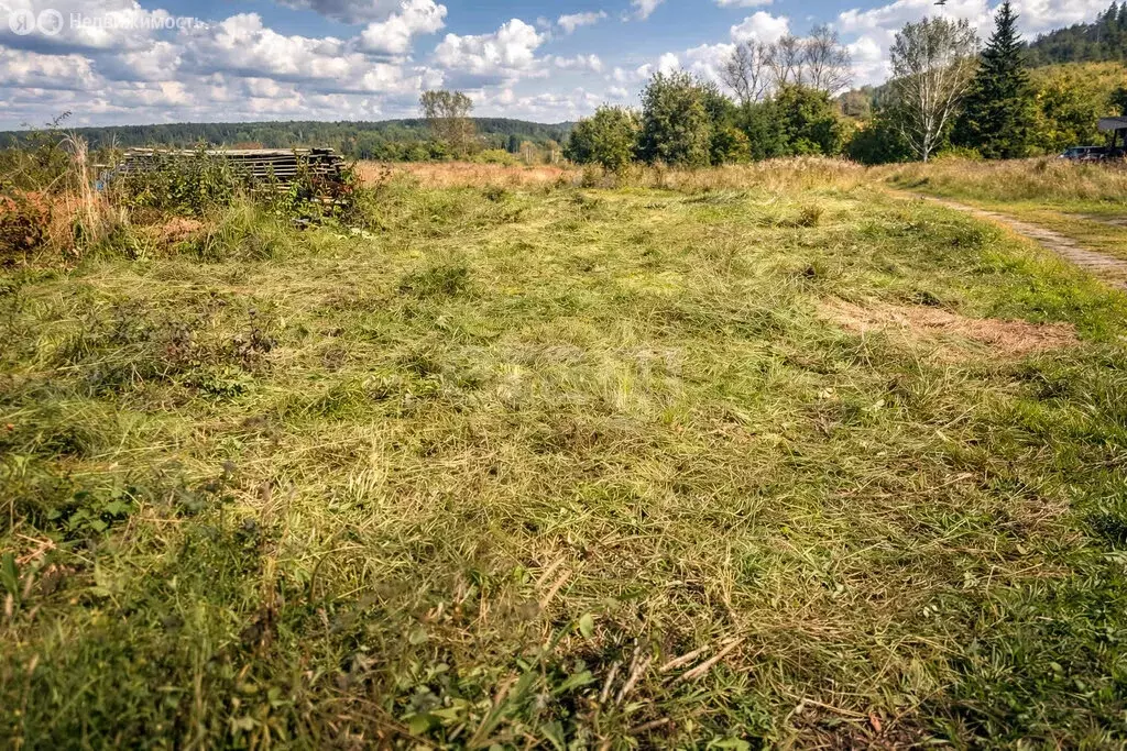 Участок в Новосибирская область, Маслянинский муниципальный округ, ... - Фото 1