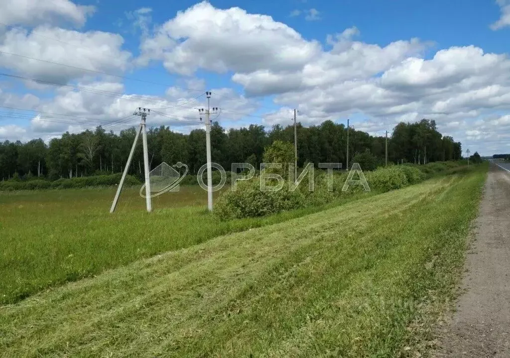 Участок в Тюменская область, Нижнетавдинский муниципальный округ, ... - Фото 1