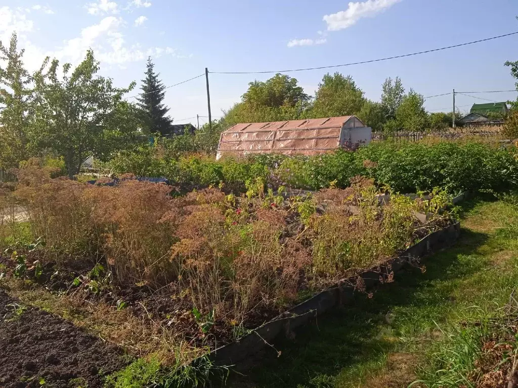 Дом в Новгородская область, Новгородский район, Панковское городское ... - Фото 1