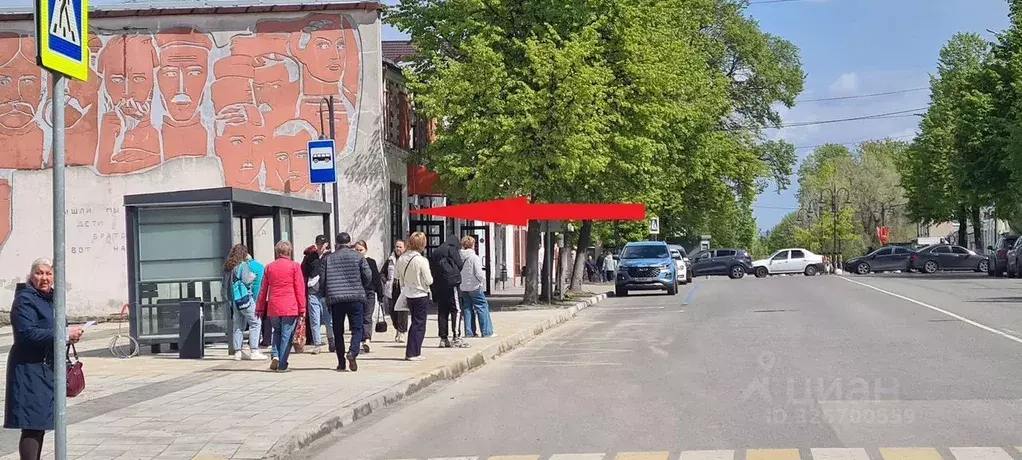 Помещение свободного назначения в Московская область, Ногинск ... - Фото 1