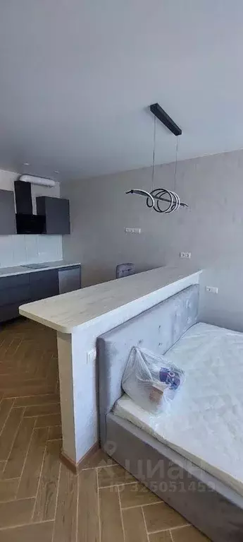 Студия Краснодарский край, Сочи городской округ, Дагомыс пгт ш. ... - Фото 2