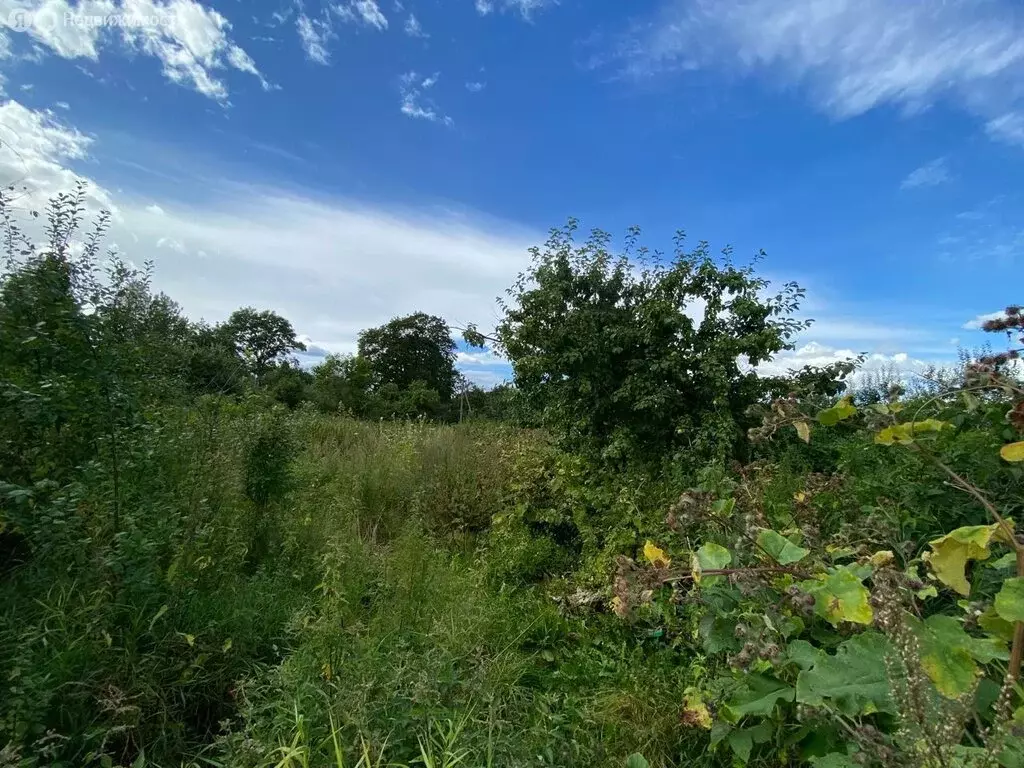 Участок в Гатчина, Новопролетарская улица (25 м) - Фото 1