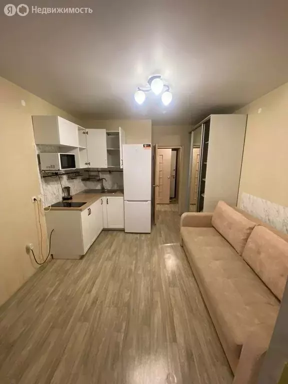 Квартира-студия: село Осиново, улица Гайсина, 2Б (21 м) - Фото 2