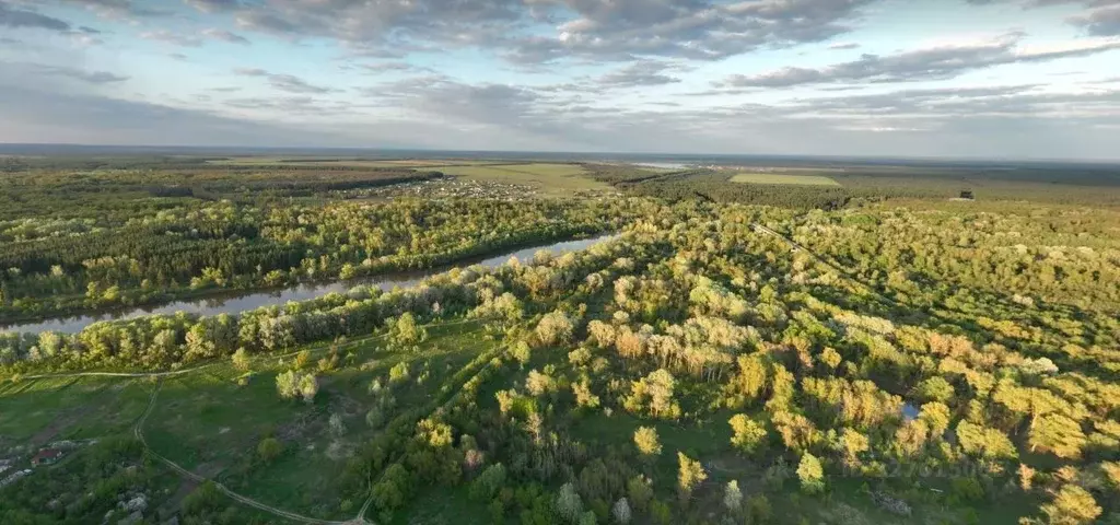 Участок в Волгоградская область, Урюпинский район, Михайловское с/пос, ... - Фото 1
