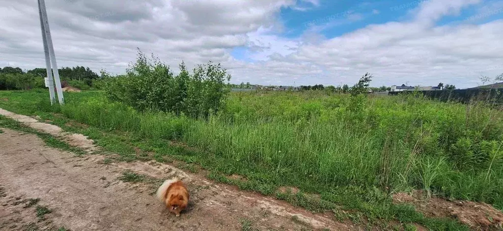 Участок в Московская область, Коломна городской округ, с. Непецино ул. ... - Фото 2