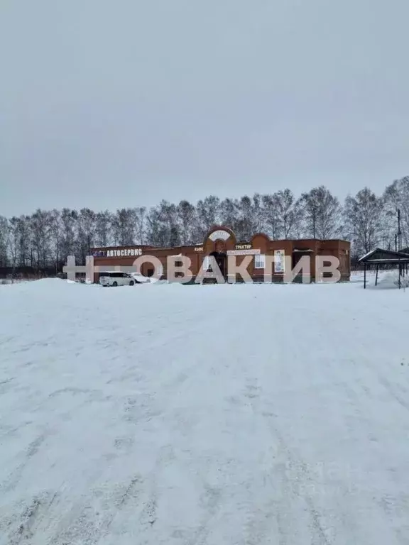 Помещение свободного назначения в Новосибирская область, Искитимский ... - Фото 0