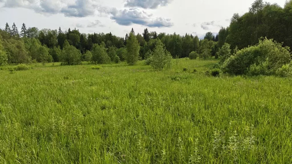 Участок в Московская область, Рузский муниципальный округ, д. Филатово ... - Фото 2