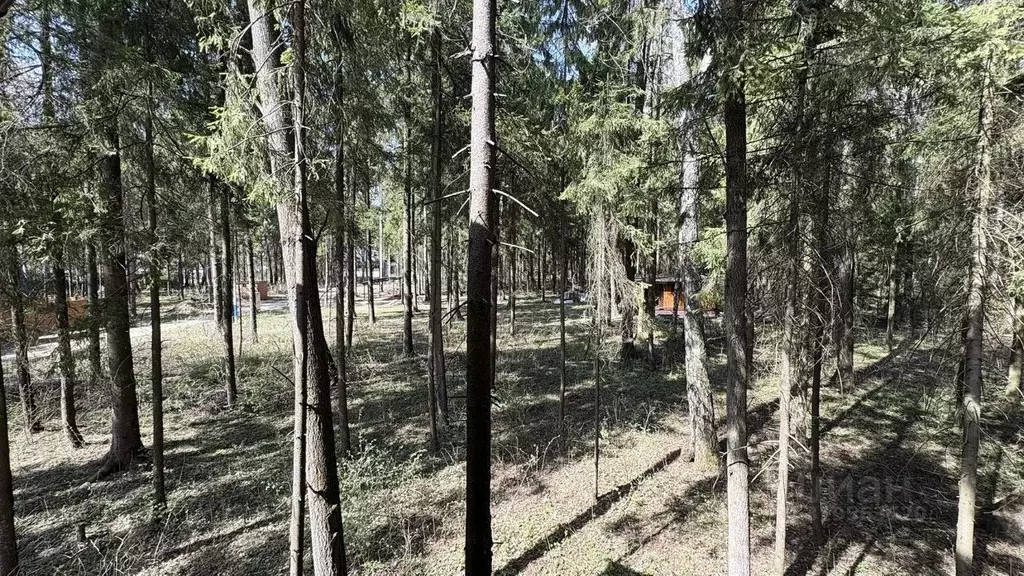 Участок в Московская область, Мытищи городской округ, д. Протасово, ... - Фото 0