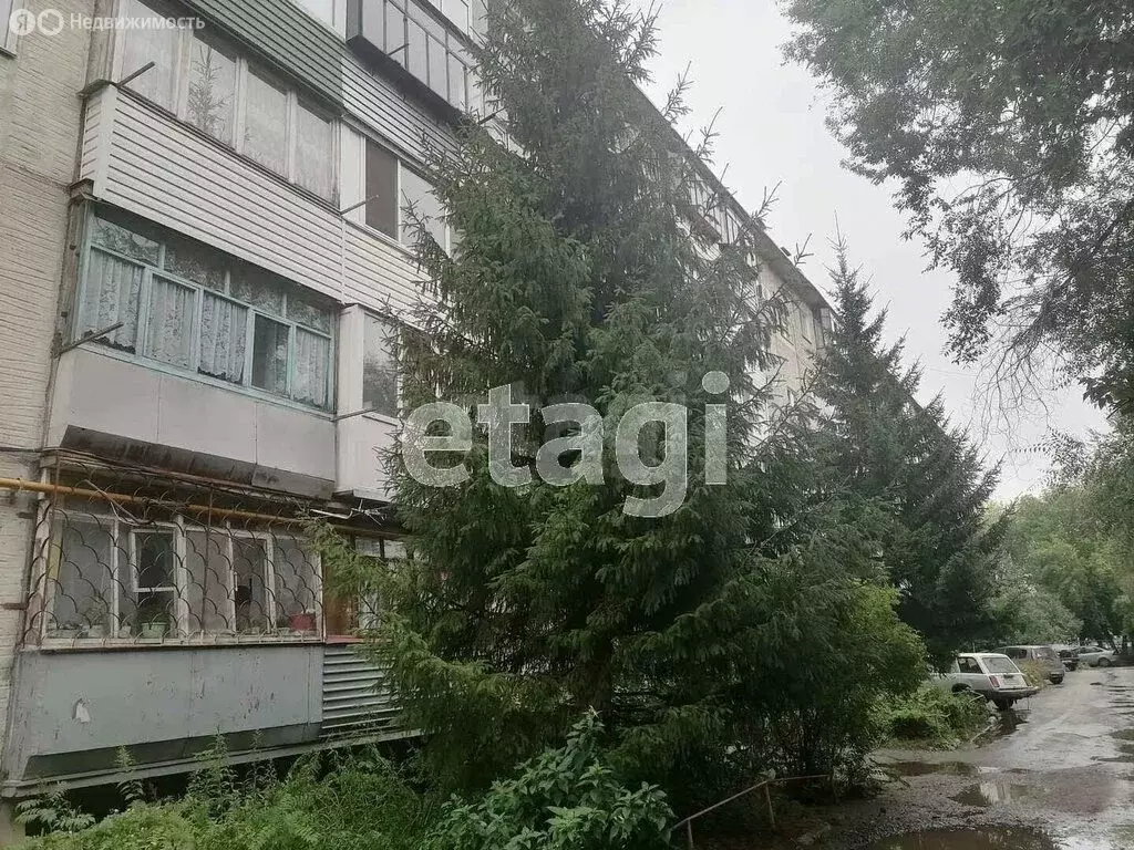 2-комнатная квартира: Курган, проспект Конституции, 36 (45.5 м) - Фото 2