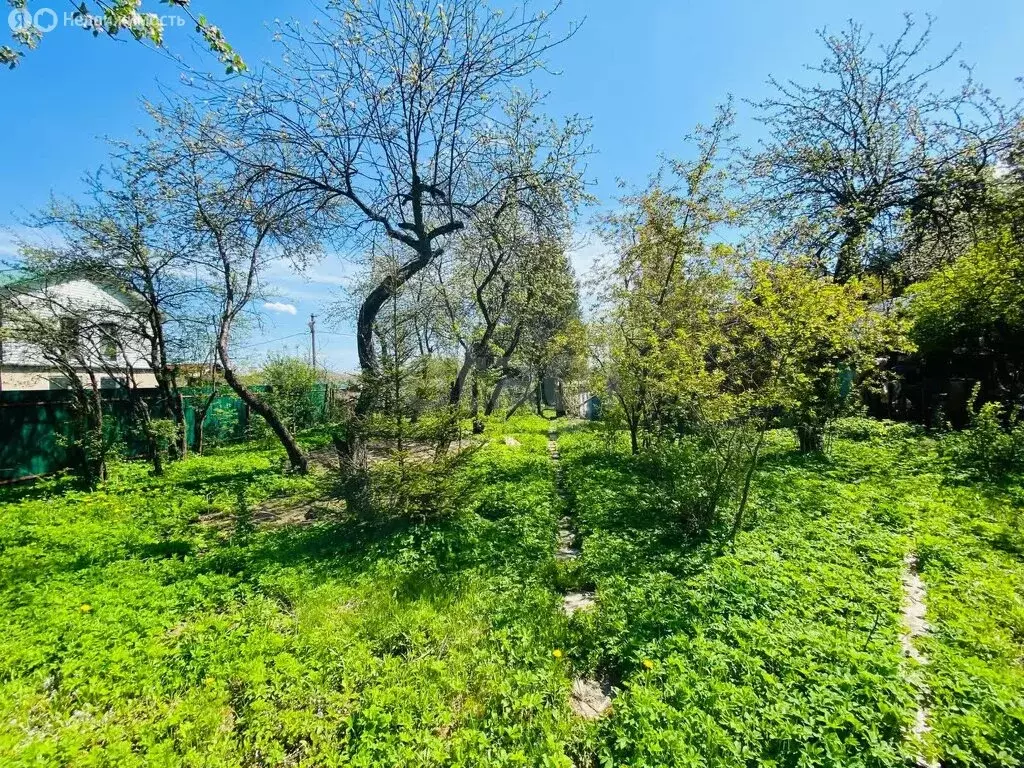 Участок в Лосино-Петровский, СНТ Восход-2 ЛП (5.73 м) - Фото 1