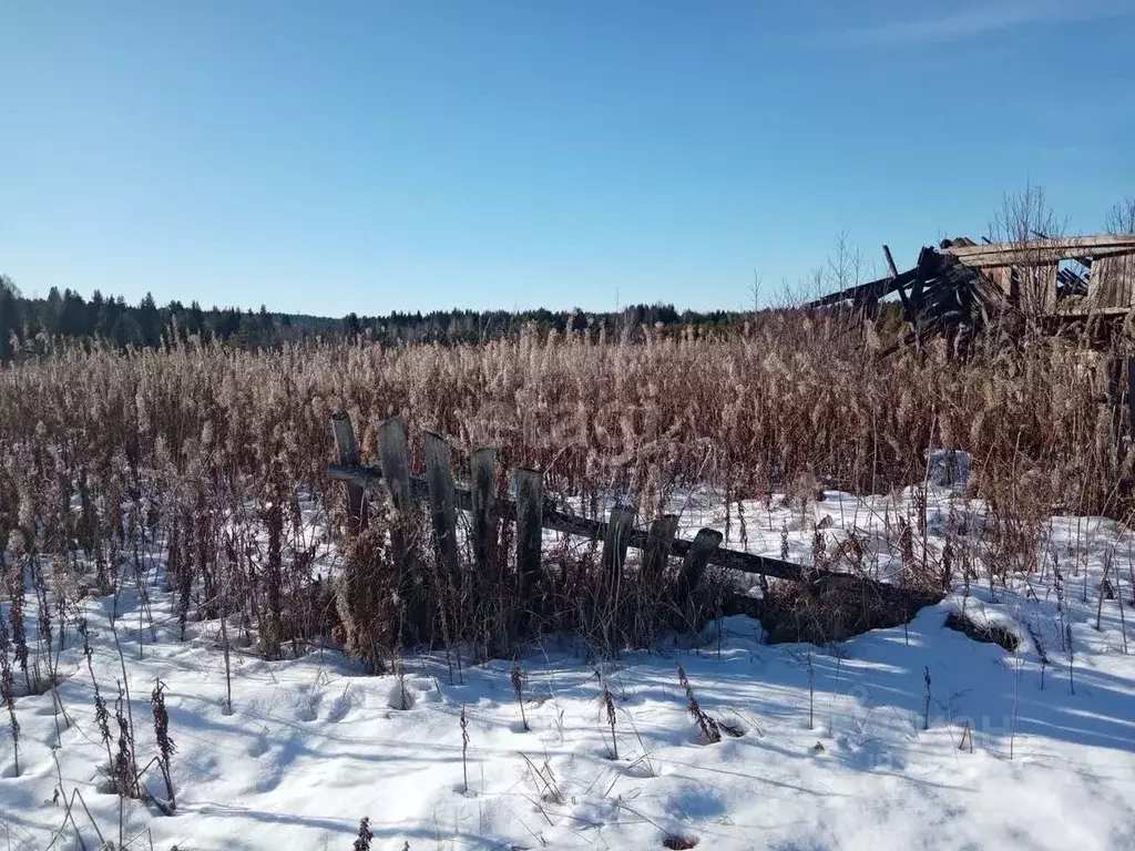 Участок в Свердловская область, Нижний Тагил городской округ, д. ... - Фото 1