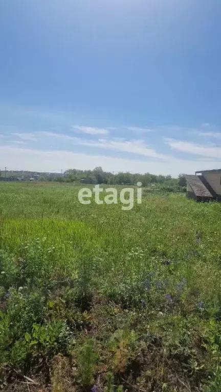 Участок в Белгородская область, Белгородский район, Разумное рп ул. ... - Фото 1