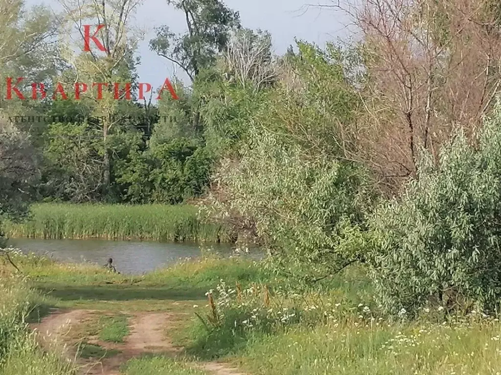 Участок в Оренбургская область, Сакмарский район, Татаро-Каргалинский ... - Фото 1