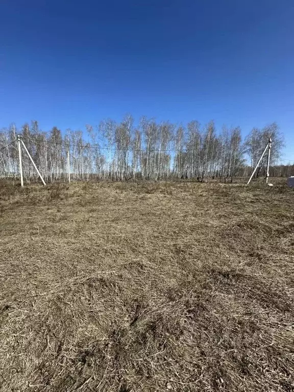 Участок в Челябинская область, Сосновский муниципальный округ, д. ... - Фото 1