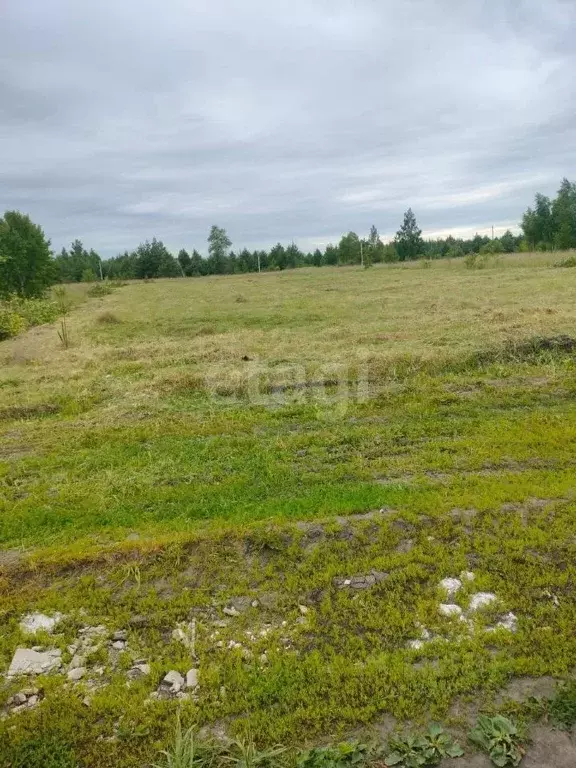 Участок в Липецкая область, Грязинский муниципальный округ, с. ... - Фото 1