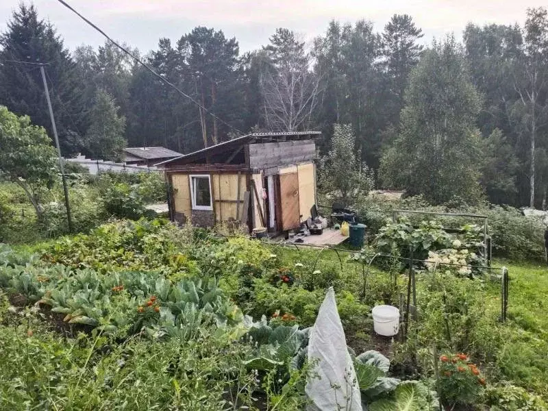 Дом в Иркутская область, Иркутский муниципальный округ, Зеленое СНТ ... - Фото 1