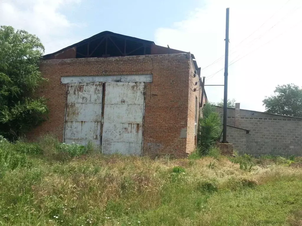 Участок в Ростовская область, Багаевский район, Красненское с/пос, ... - Фото 2