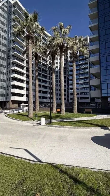 Студия Краснодарский край, Сочи ул. Просвещения, 32 (42.8 м) - Фото 1