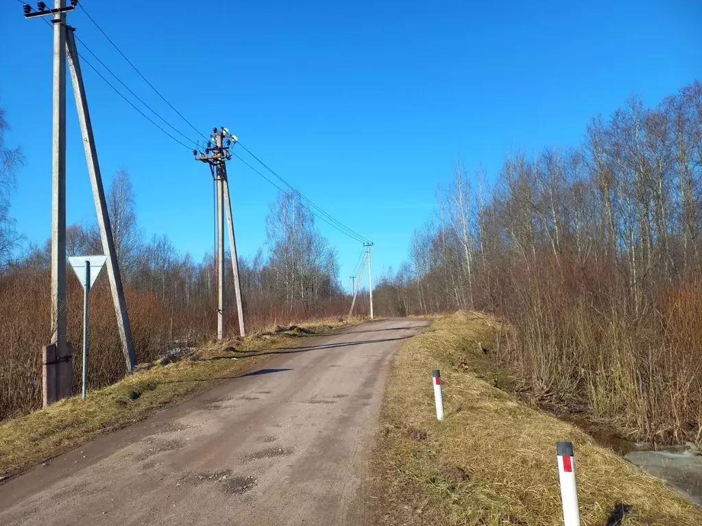 Участок в Псковская область, Псковский муниципальный округ, ... - Фото 2