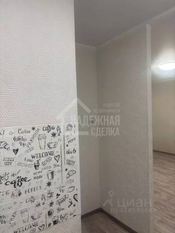 Студия Алтайский край, Рубцовск Ленинградская ул., 3 (30.0 м) - Фото 0