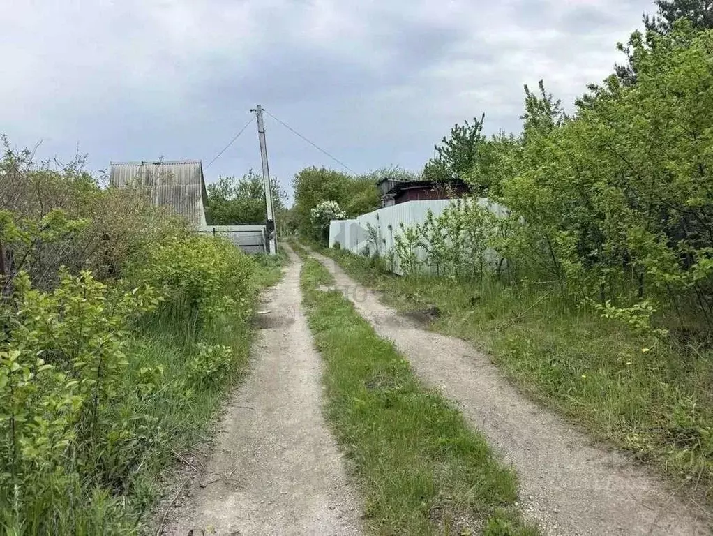 Участок в Белгородская область, Яковлевский муниципальный округ, ... - Фото 1