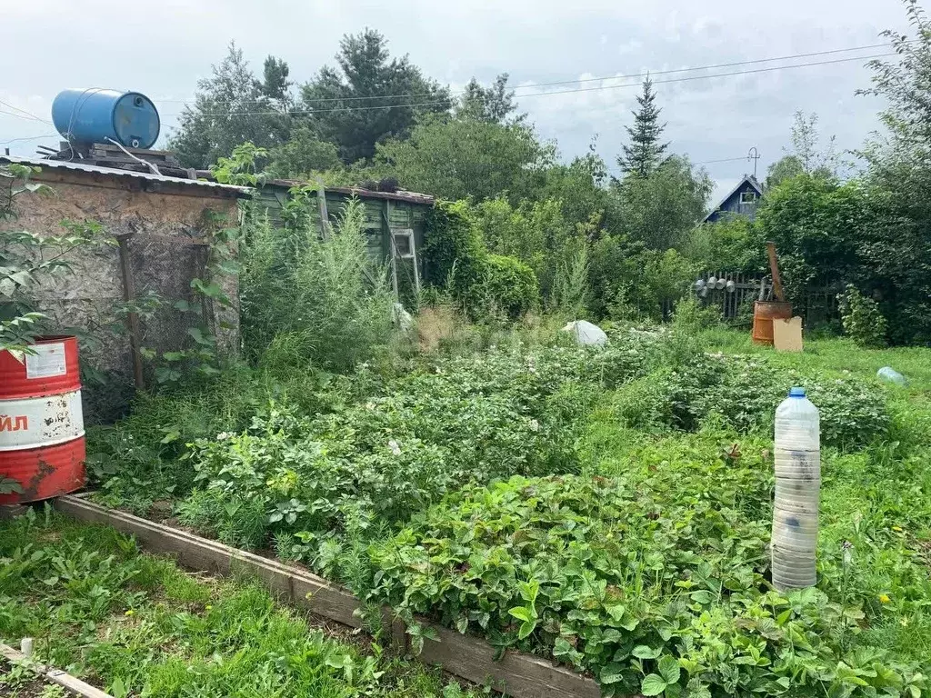 Дом в Хабаровский край, Комсомольский район, Березка СНТ  (20 м) - Фото 1