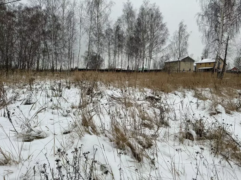 Участок в Московская область, Богородский городской округ, д. Шульгино ... - Фото 1