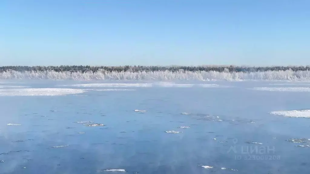 Дом в Новосибирская область, Колыванский район, Маяк СНТ  (35 м) - Фото 1