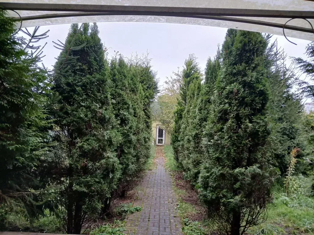 Дом в Калининградская область, Калининград ул. Толбухина (253 м) - Фото 2