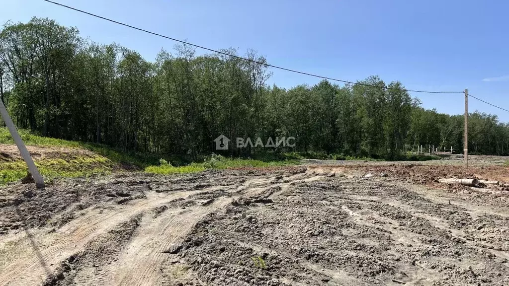Участок в Ярославская область, Рыбинский муниципальный округ, д. ... - Фото 1