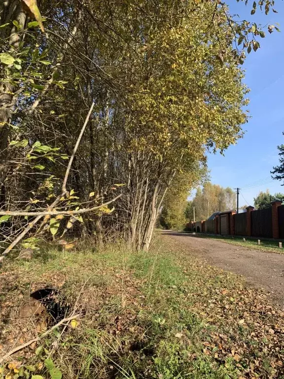 Участок в Московская область, Клин городской округ, д. Подтеребово ул. ... - Фото 1