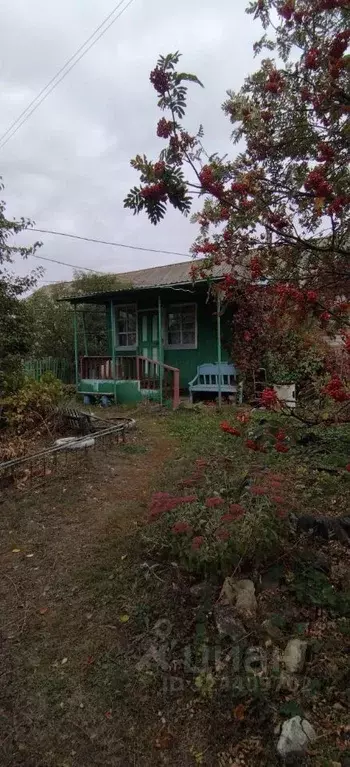 Дом в Саратовская область, Новобурасское муниципальное образование, с. ... - Фото 2