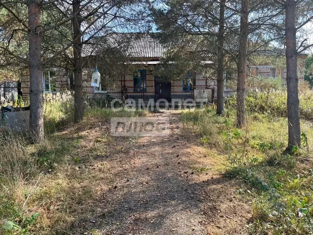 Помещение свободного назначения в Смоленская область, Гагаринский ... - Фото 2