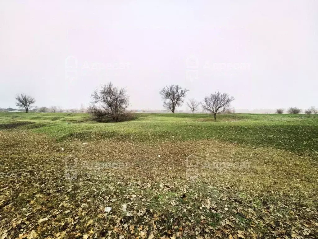 Участок в Волгоградская область, Среднеахтубинский район, Фрунзенское ... - Фото 2
