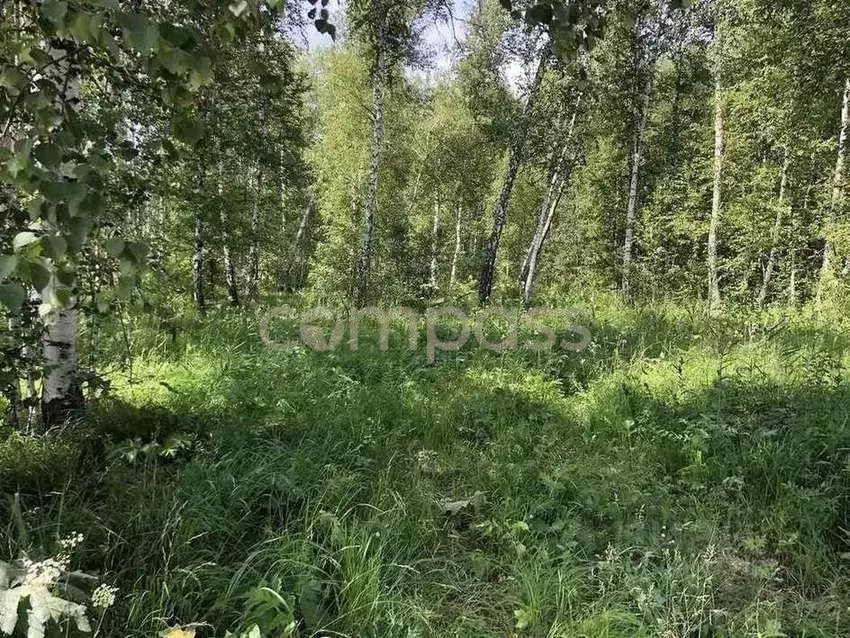 Участок в Тюменская область, Тюмень Медик СНТ, ул. Черемуховая (15.0 ... - Фото 0