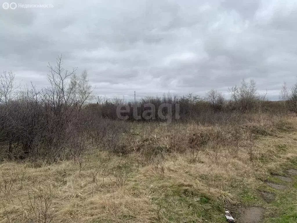 Участок в Ключевское сельское поселение, СНТ Ключи (10.47 м) - Фото 1
