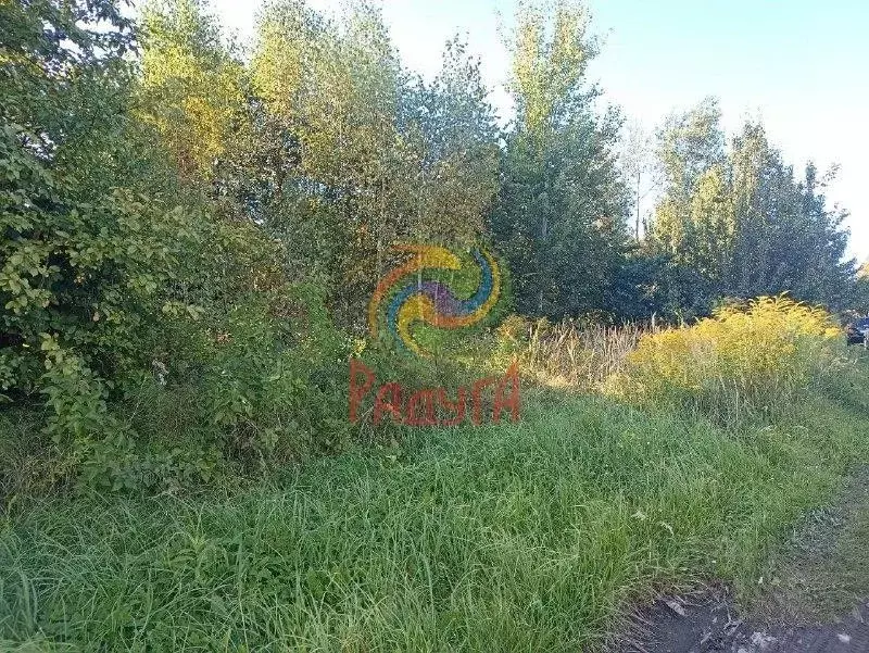 Участок в Ивановская область, пос. Савино ул. 2-я Железнодорожная ... - Фото 2