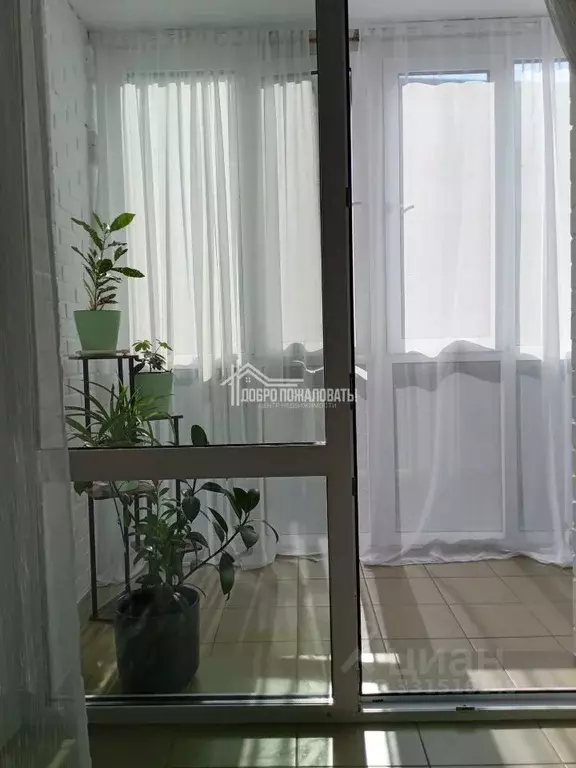 Студия Хакасия, Абакан ул. Ломоносова, 4 (38.9 м) - Фото 2