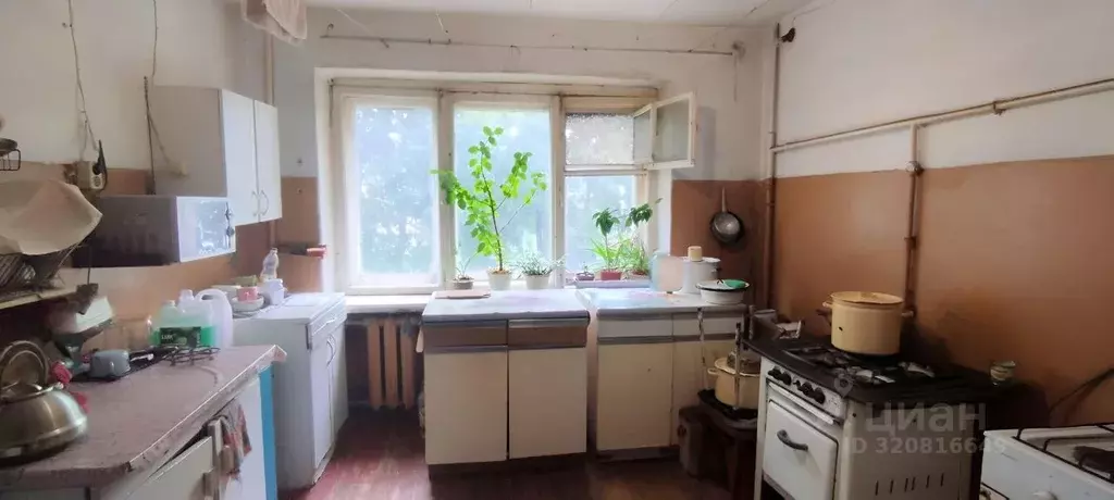 Комната Орловская область, Орел ул. Цветаева, 2 (12.6 м) - Фото 1