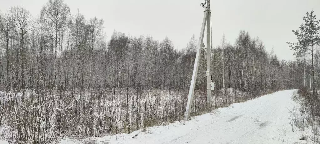 Участок в Ленинградская область, Ломоносовский район, Виллозское ... - Фото 0