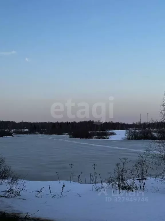 Участок в Московская область, Дмитровский муниципальный округ, д. ... - Фото 1