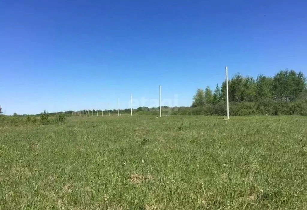 Участок в Новосибирская область, Колыванский район, Пять озер СНТ ... - Фото 0