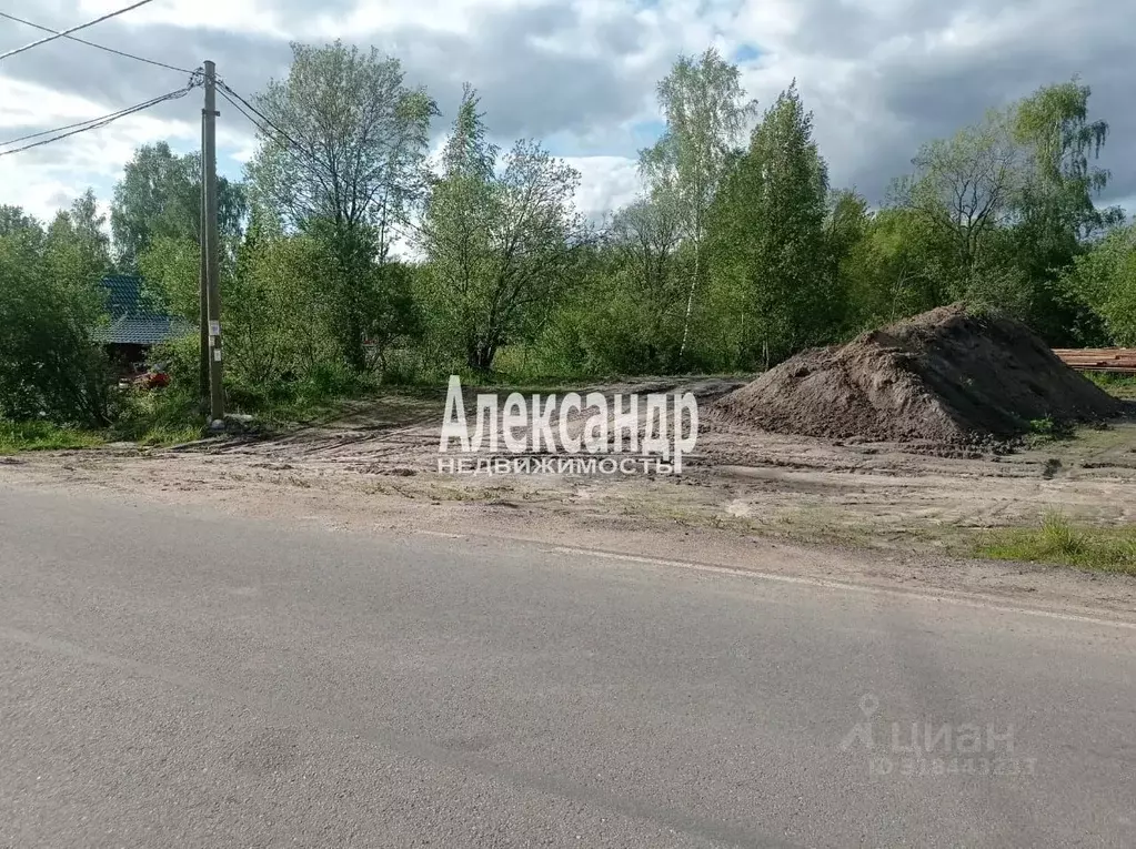 Участок в Ленинградская область, Приозерский район, Ромашкинское ... - Фото 0