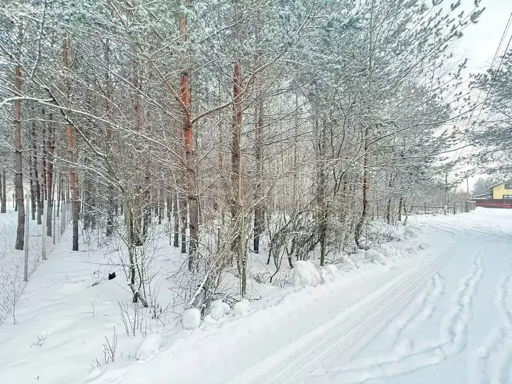 Участок в Воронеж, СНТ Большая Семья (15.4 м) - Фото 2