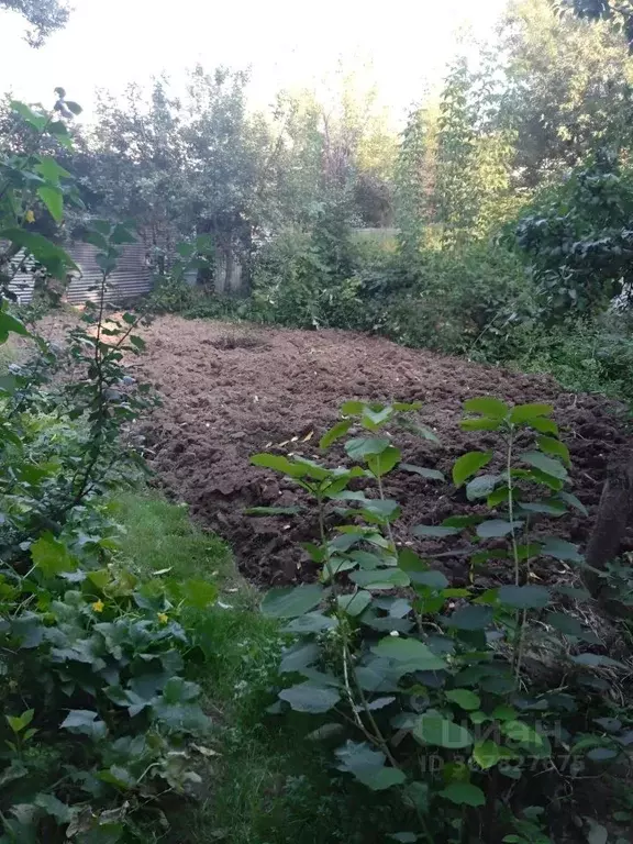 Дом в Московская область, Одинцовский городской округ, д. Сетунь Малая ... - Фото 1