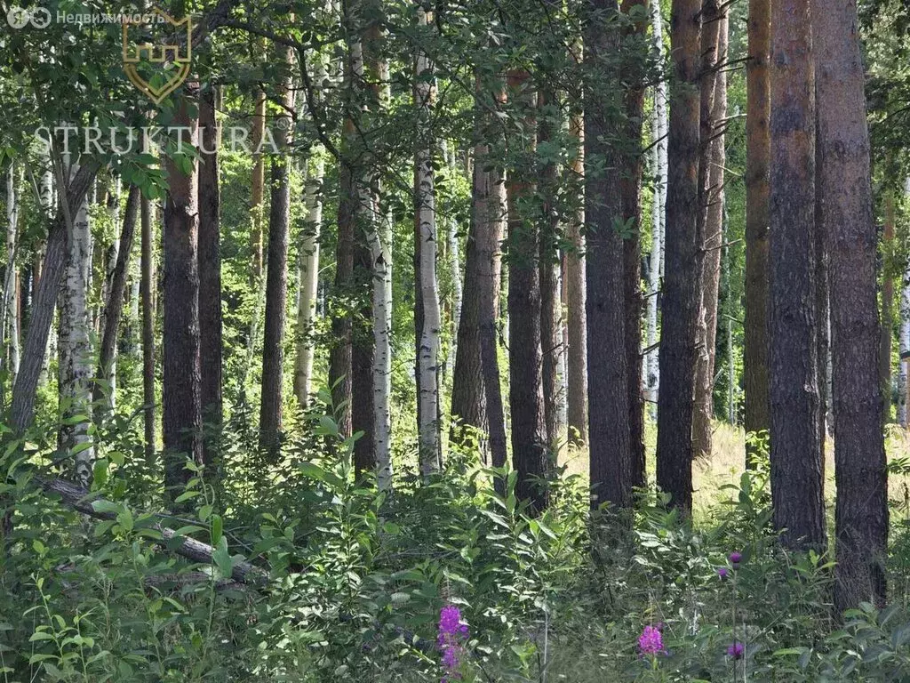 Участок в Курганово, Ольховая улица (12.2 м) - Фото 1